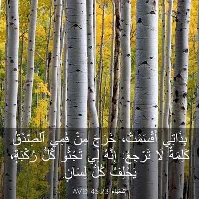 Picture 03 - إِشَعْيَاءَ 45:23 AVD - بِذَاتِي أَقْسَمْتُ، - Bible Verse Picture