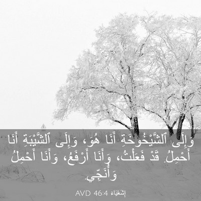 Picture 03 - إِشَعْيَاءَ 46:4 AVD - وَإِلَى ٱلشَّيْخُوخَةِ - Bible Verse Picture