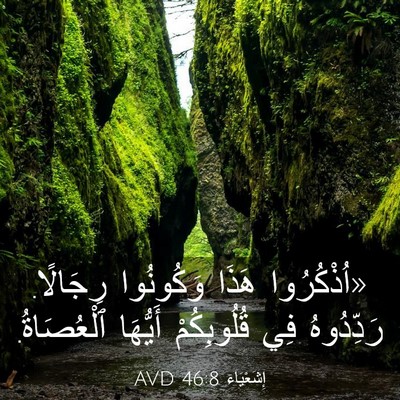 Picture 03 - إِشَعْيَاءَ 46:8 AVD - «اُذْكُرُوا هَذَا - Bible Verse Picture