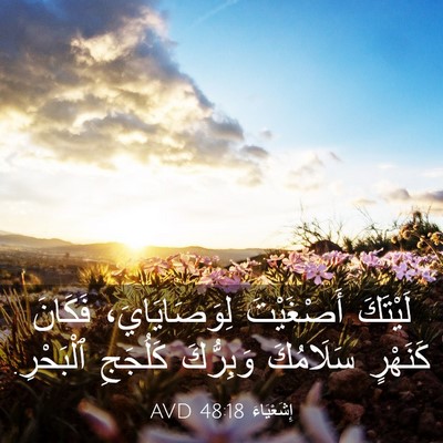Picture 03 - إِشَعْيَاءَ 48:18 AVD - لَيْتَكَ أَصْغَيْتَ - Bible Verse Picture