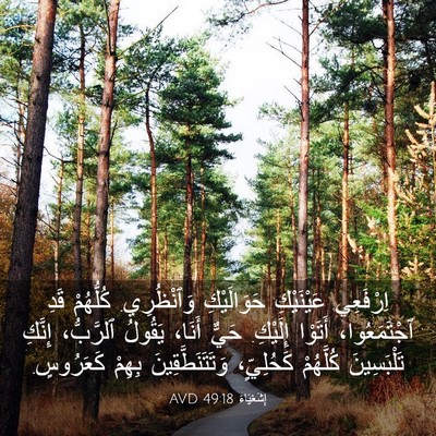 Picture 03 - إِشَعْيَاءَ 49:18 AVD - اِرْفَعِي عَيْنَيْكِ - Bible Verse Picture
