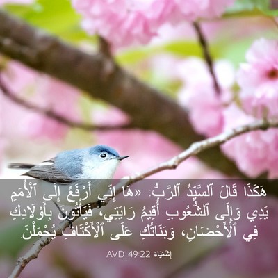 Picture 03 - إِشَعْيَاءَ 49:22 AVD - هَكَذَا قَالَ ٱلسَّيِّدُ - Bible Verse Picture