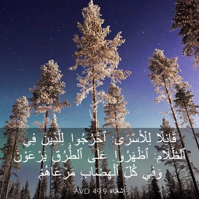 Picture 03 - إِشَعْيَاءَ 49:9 AVD - قَائِلًا لِلْأَسْرَى: - Bible Verse Picture