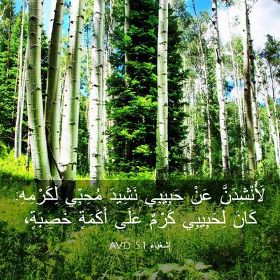 Picture 03 - إِشَعْيَاءَ 5:1 AVD - لَأُنْشِدَنَّ عَنْ - Bible Verse Picture