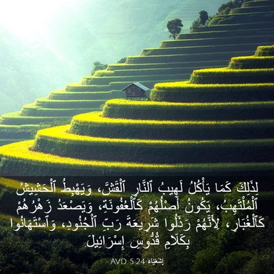 Picture 03 - إِشَعْيَاءَ 5:24 AVD - لِذَلِكَ كَمَا يَأْكُلُ - Bible Verse Picture
