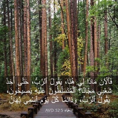 Picture 03 - إِشَعْيَاءَ 52:5 AVD - فَٱلْآنَ مَاذَا لِي هُنَا، - Bible Verse Picture