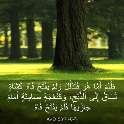 Picture 03 - إِشَعْيَاءَ 53:7 AVD - ظُلِمَ أَمَّا هُوَ - Bible Verse Picture
