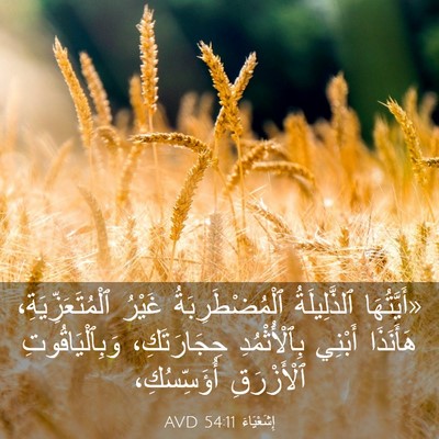 Picture 03 - إِشَعْيَاءَ 54:11 AVD - «أَيَّتُهَا ٱلذَّلِيلَةُ - Bible Verse Picture