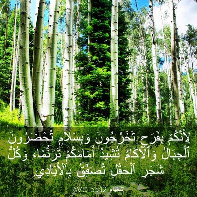 Picture 03 - إِشَعْيَاءَ 55:12 AVD - لِأَنَّكُمْ بِفَرَحٍ - Bible Verse Picture
