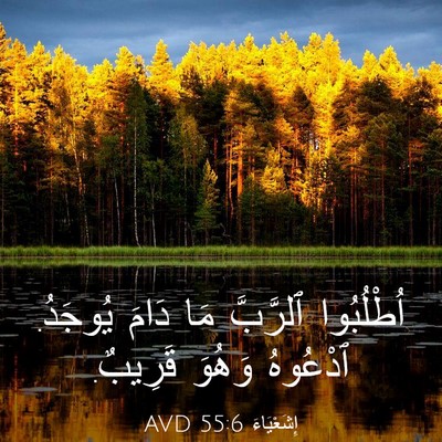 Picture 03 - إِشَعْيَاءَ 55:6 AVD - اُطْلُبُوا ٱلرَّبَّ مَا - Bible Verse Picture