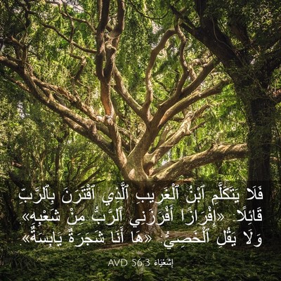 Picture 03 - إِشَعْيَاءَ 56:3 AVD - فَلَا يَتَكَلَّمِ ٱبْنُ - Bible Verse Picture