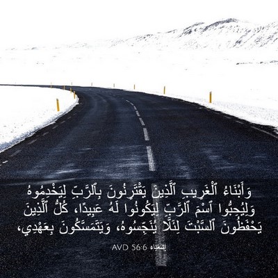 Picture 03 - إِشَعْيَاءَ 56:6 AVD - وَأَبْنَاءُ ٱلْغَرِيبِ - Bible Verse Picture