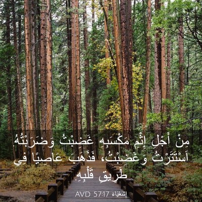 Picture 03 - إِشَعْيَاءَ 57:17 AVD - مِنْ أَجْلِ إِثْمِ - Bible Verse Picture