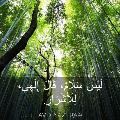 Picture 03 - إِشَعْيَاءَ 57:21 AVD - لَيْسَ سَلَامٌ، قَالَ - Bible Verse Picture