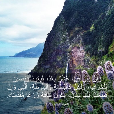 Picture 03 - إِشَعْيَاءَ 6:13 AVD - وَإِنْ بَقِيَ فِيهَا - Bible Verse Picture