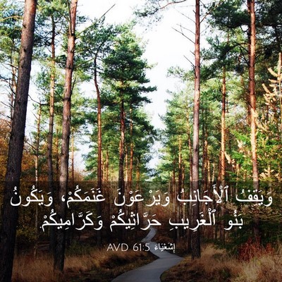 Picture 03 - إِشَعْيَاءَ 61:5 AVD - وَيَقِفُ ٱلْأَجَانِبُ - Bible Verse Picture