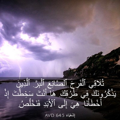 Picture 03 - إِشَعْيَاءَ 64:5 AVD - تُلَاقِي ٱلْفَرِحَ - Bible Verse Picture