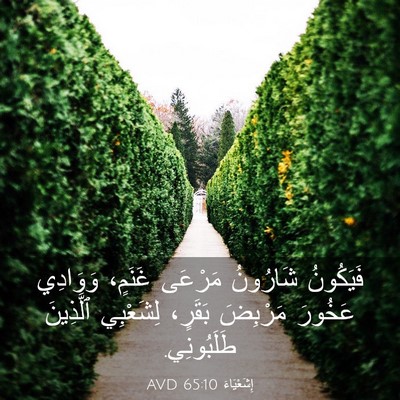 Picture 03 - إِشَعْيَاءَ 65:10 AVD - فَيَكُونُ شَارُونُ - Bible Verse Picture