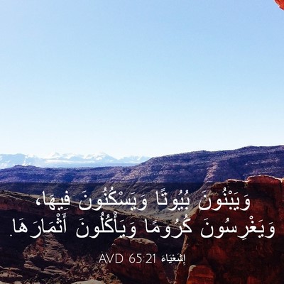 Picture 03 - إِشَعْيَاءَ 65:21 AVD - وَيَبْنُونَ بُيُوتًا - Bible Verse Picture