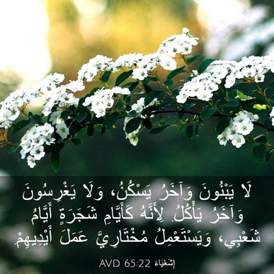 Picture 03 - إِشَعْيَاءَ 65:22 AVD - لَا يَبْنُونَ وَآخَرُ - Bible Verse Picture