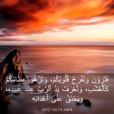 Picture 03 - إِشَعْيَاءَ 66:14 AVD - فَتَرَوْنَ وَتَفْرَحُ - Bible Verse Picture