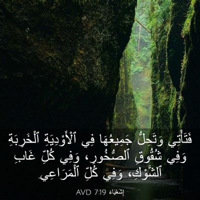 Picture 03 - إِشَعْيَاءَ 7:19 AVD - فَتَأْتِي وَتَحِلُّ - Bible Verse Picture