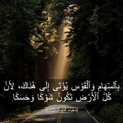 Picture 03 - إِشَعْيَاءَ 7:24 AVD - بِٱلسِّهَامِ وَٱلْقَوْسِ - Bible Verse Picture
