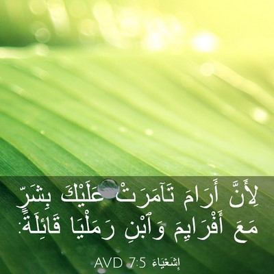 Picture 03 - إِشَعْيَاءَ 7:5 AVD - لِأَنَّ أَرَامَ تَآمَرَتْ - Bible Verse Picture