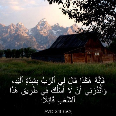 Picture 03 - إِشَعْيَاءَ 8:11 AVD - فَإِنَّهُ هَكَذَا قَالَ - Bible Verse Picture
