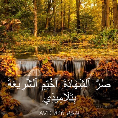 Picture 03 - إِشَعْيَاءَ 8:16 AVD - صُرَّ ٱلشِّهَادَةَ. - Bible Verse Picture
