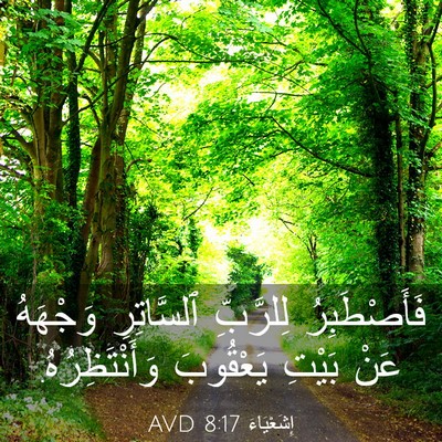 Picture 03 - إِشَعْيَاءَ 8:17 AVD - فَأَصْطَبِرُ لِلرَّبِّ - Bible Verse Picture