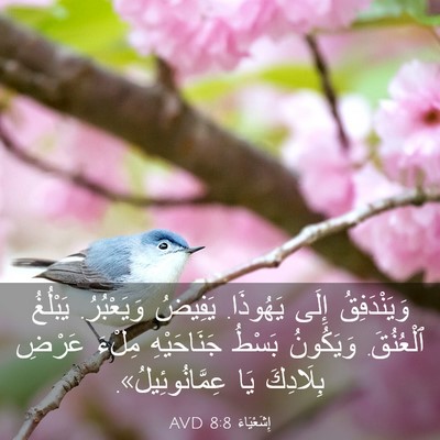 Picture 03 - إِشَعْيَاءَ 8:8 AVD - وَيَنْدَفِقُ إِلَى - Bible Verse Picture