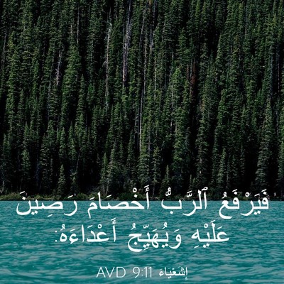 Picture 03 - إِشَعْيَاءَ 9:11 AVD - فَيَرْفَعُ ٱلرَّبُّ - Bible Verse Picture