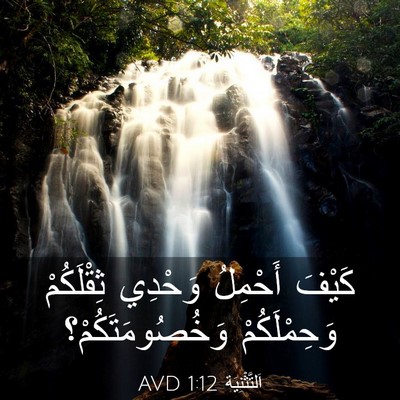 Picture 03 - اَلتَّثْنِيَة 1:12 AVD - كَيْفَ أَحْمِلُ وَحْدِي - Bible Verse Picture