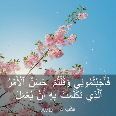 Picture 03 - اَلتَّثْنِيَة 1:14 AVD - فَأَجَبْتُمُونِي - Bible Verse Picture