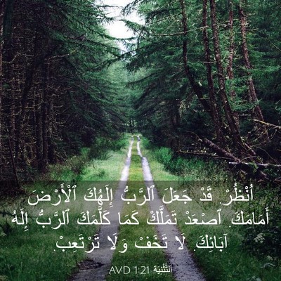 Picture 03 - اَلتَّثْنِيَة 1:21 AVD - اُنْظُرْ. قَدْ جَعَلَ - Bible Verse Picture