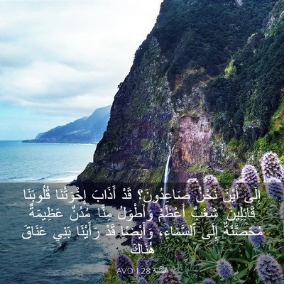 Picture 03 - اَلتَّثْنِيَة 1:28 AVD - إِلَى أَيْنَ نَحْنُ - Bible Verse Picture