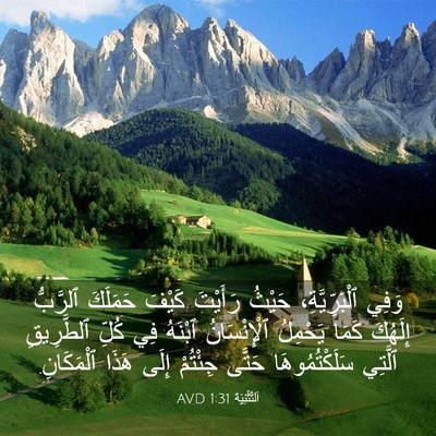 Picture 03 - اَلتَّثْنِيَة 1:31 AVD - وَفِي ٱلْبَرِّيَّةِ، - Bible Verse Picture