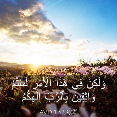 Picture 03 - اَلتَّثْنِيَة 1:32 AVD - وَلَكِنْ فِي هَذَا - Bible Verse Picture