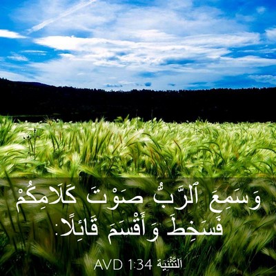 Picture 03 - اَلتَّثْنِيَة 1:34 AVD - وَسَمِعَ ٱلرَّبُّ صَوْتَ - Bible Verse Picture