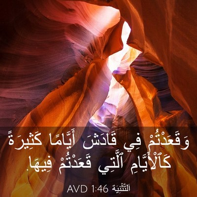 Picture 03 - اَلتَّثْنِيَة 1:46 AVD - وَقَعَدْتُمْ فِي قَادَشَ - Bible Verse Picture