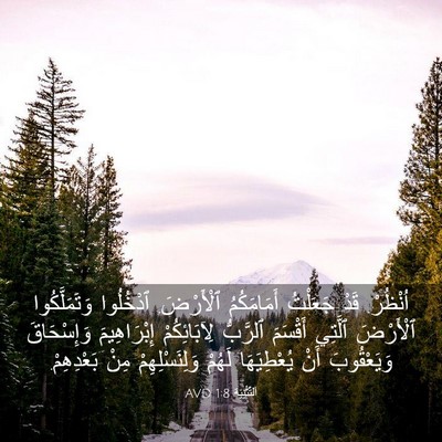 Picture 03 - اَلتَّثْنِيَة 1:8 AVD - اُنْظُرْ. قَدْ جَعَلْتُ - Bible Verse Picture