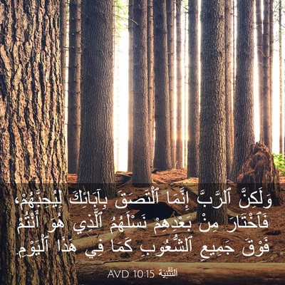 Picture 03 - اَلتَّثْنِيَة 10:15 AVD - وَلَكِنَّ ٱلرَّبَّ - Bible Verse Picture