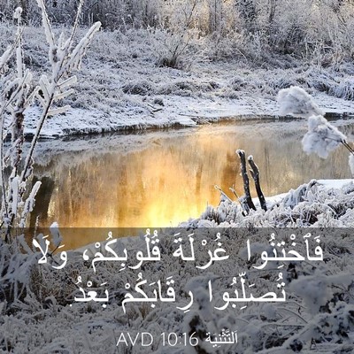 Picture 03 - اَلتَّثْنِيَة 10:16 AVD - فَٱخْتِنُوا غُرْلَةَ - Bible Verse Picture