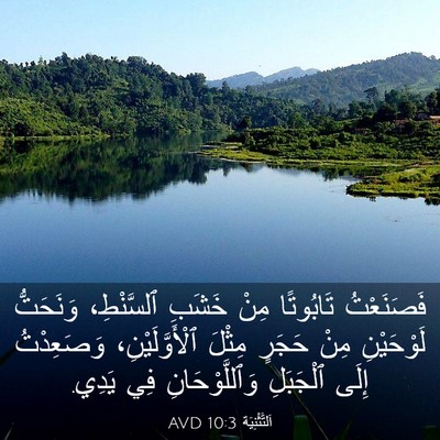 Picture 03 - اَلتَّثْنِيَة 10:3 AVD - فَصَنَعْتُ تَابُوتًا مِنْ - Bible Verse Picture
