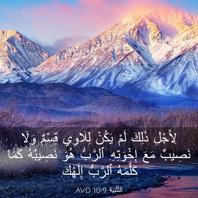 Picture 03 - اَلتَّثْنِيَة 10:9 AVD - لِأَجْلِ ذَلِكَ لَمْ - Bible Verse Picture
