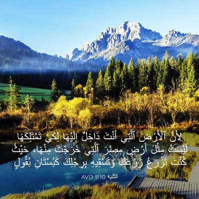 Picture 03 - اَلتَّثْنِيَة 11:10 AVD - لِأَنَّ ٱلْأَرْضَ ٱلَّتِي - Bible Verse Picture