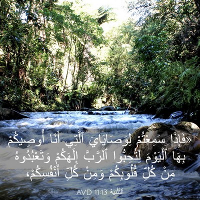 Picture 03 - اَلتَّثْنِيَة 11:13 AVD - «فَإِذَا سَمِعْتُمْ - Bible Verse Picture