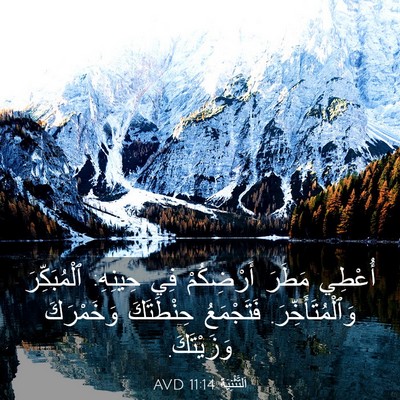 Picture 03 - اَلتَّثْنِيَة 11:14 AVD - أُعْطِي مَطَرَ أَرْضِكُمْ - Bible Verse Picture