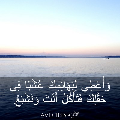Picture 03 - اَلتَّثْنِيَة 11:15 AVD - وَأُعْطِي لِبَهَائِمِكَ - Bible Verse Picture